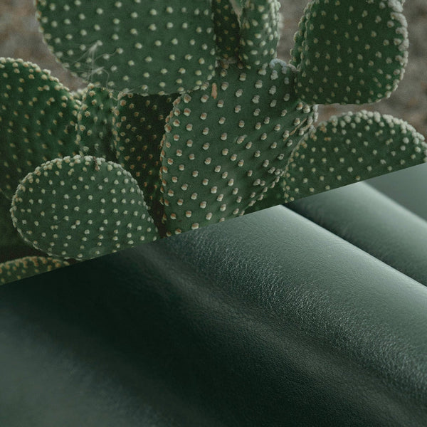 Plant vased Vegan leather